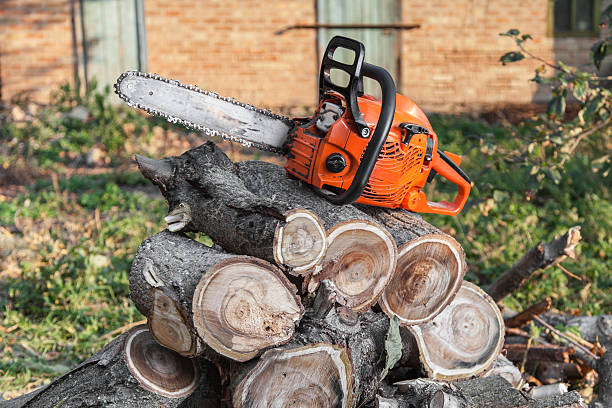 Best Commercial Tree Services  in East Brewton, AL